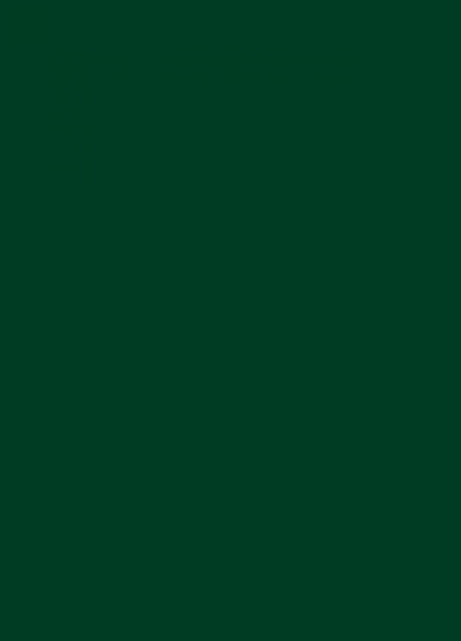 Фасады Фасад из акрила 060 Dark Green (Темно-зеленый) на заказ в Белогорске фотография