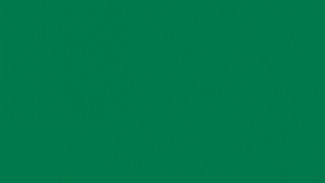 Фасад из акрила 061 Green (Зеленый)