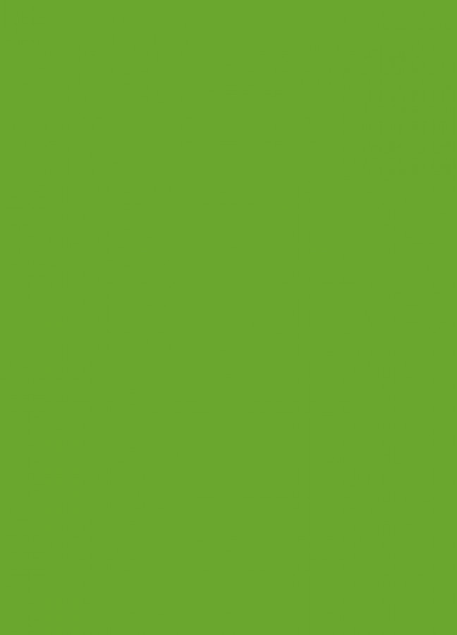 Фасады Фасад из акрила 063 Lime-tree green (Липово-зеленый) на заказ в Белогорске фотография
