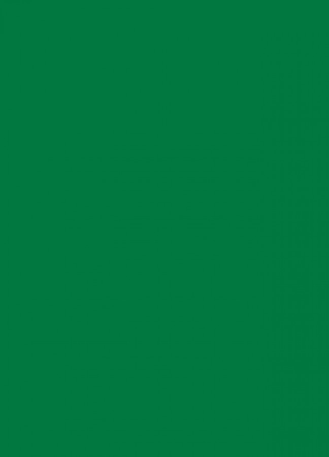 Фасады Фасад из акрила 068 Grass green (Травянисто-зеленый) на заказ в Белогорске Фасады Фасад из акрила 068 Grass green (Травянисто-зеленый) на заказ в Белогорске фотография