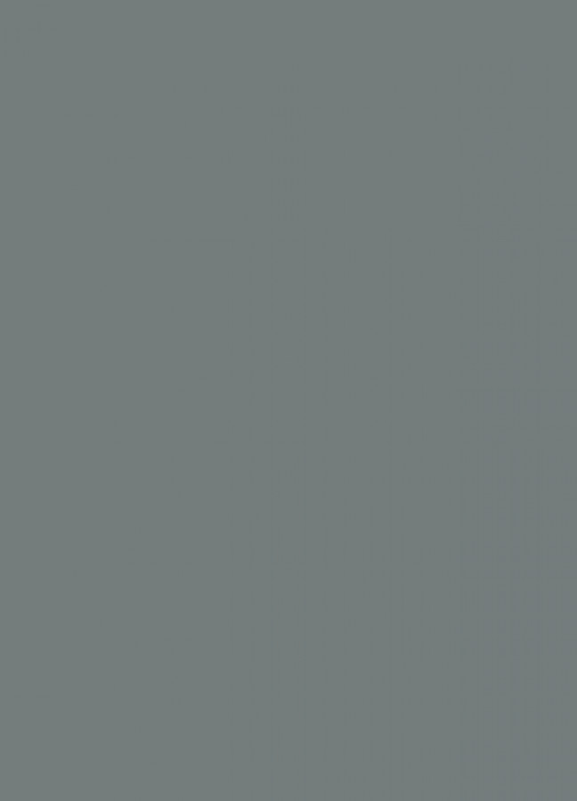 Фасады Фасад из акрила 071 Grey (Серый) на заказ в Белогорске фотография