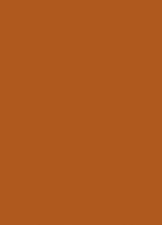 Фасады Фасад из акрила 083 Nut brown (Ореховый) на заказ в Белогорске фотография