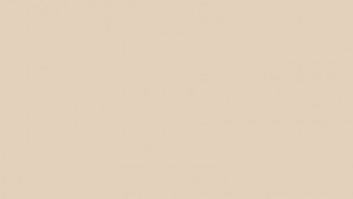  Light-Beige 1015