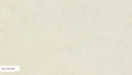 NM World Map